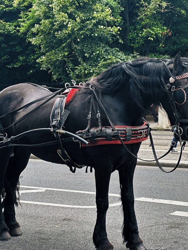 Western Dreams✨ | Trinity college Dublin🕊️  Western Dreams✨ | Trinity college Dublin🕊️