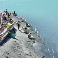 My Journey to Baisha Lake