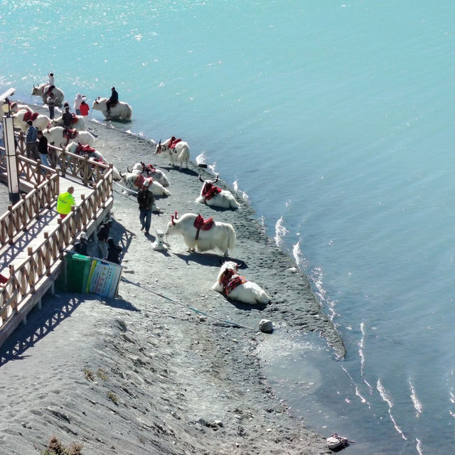 My Journey to Baisha Lake