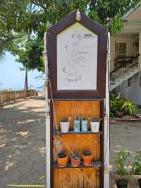 Rosana cafe X Library | ประจวบคีรีขันธ์