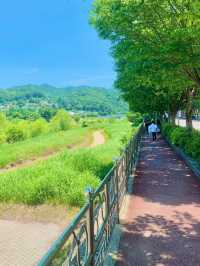 ✨ “전주 여행코스, 전통과 현대가 공존하는 도시”
