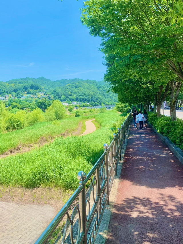 ✨ “전주 여행코스, 전통과 현대가 공존하는 도시”
