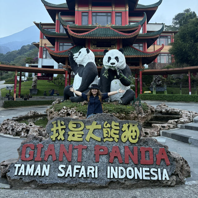 🦒🚙 Drive-Thru Safari Experience You’ll Never Forget - Safari Bogor 🇮🇩