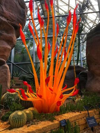 🌿 Franklin Park Conservatory – A Living Canvas of Nature