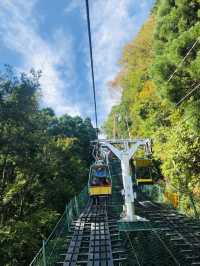 🚡高尾山一日遊：纜車體驗×登山散策×美食享受