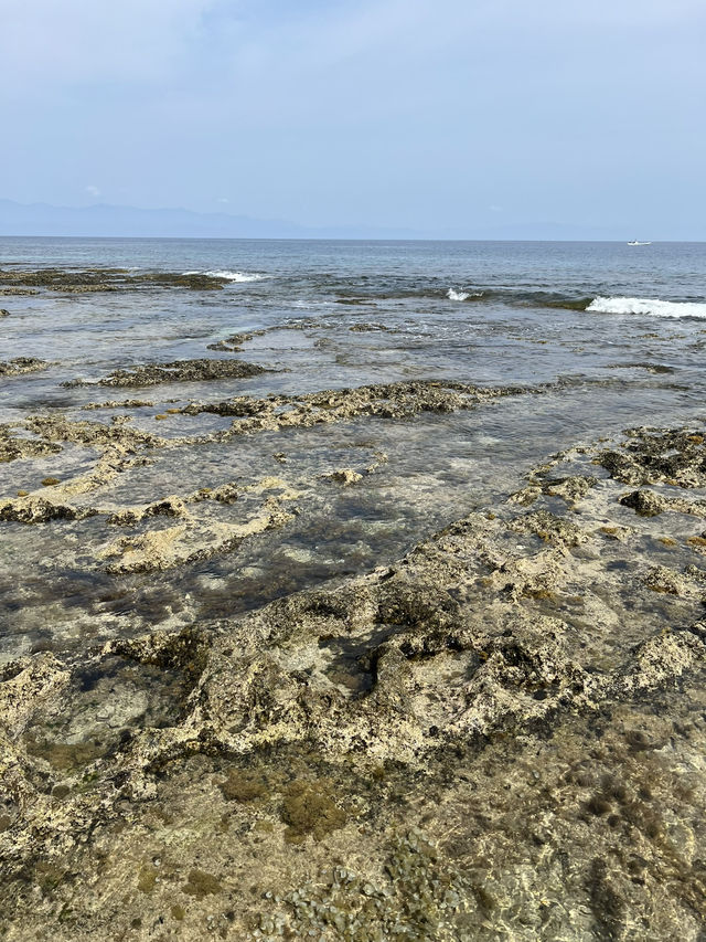 小琉球《海找冰》：坐在珊瑚海平台第一排，把海風喝進杯裡🪸☕️🌬️