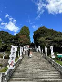 宇都宮中心部に鎮座する神社 餃子おみくじがある