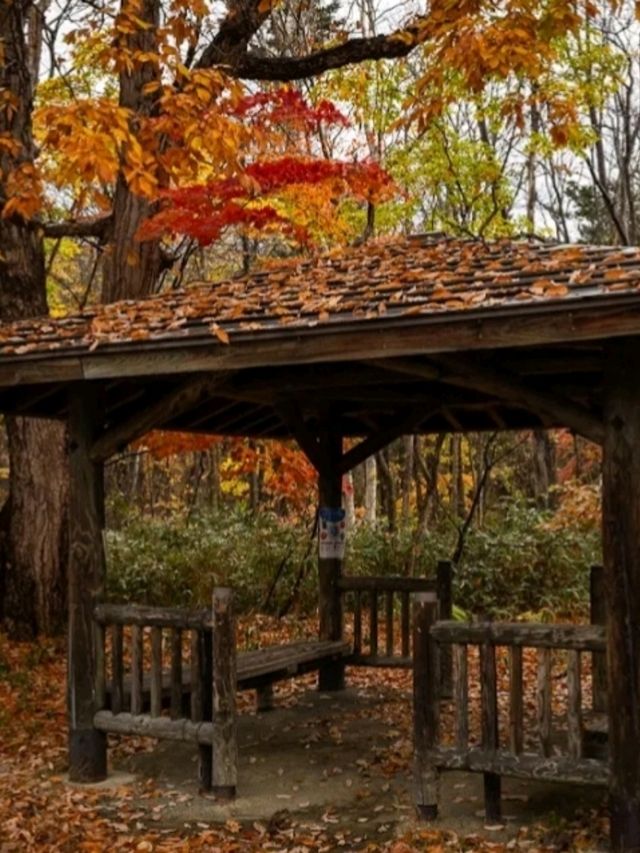 THE HISTORIC VILLAGE OF HOKKAIDO.
