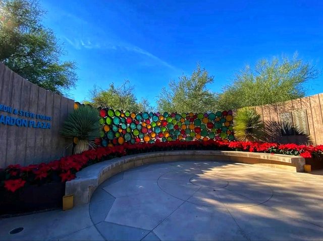🌵 “Desert Botanical Garden – Where the Desert Blooms with Life!”