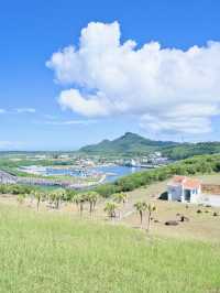 【次の連休に】島で出会うのんびり暮らす在来馬たち癒やされる旅! 🐎🏝️