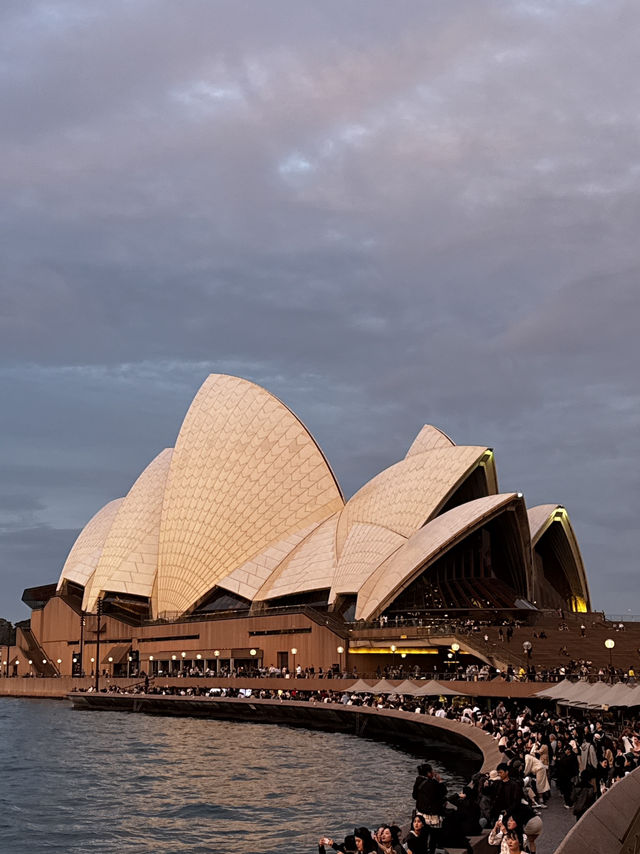 선선한 가을날씨에 다녀온 호주 시드니 여행 선선한 가을날씨에 다녀온 호주 시드니 여행