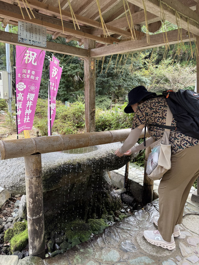海風、白鳥居、龍貓的足跡：我在糸島尋找治癒系的藍