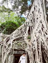 Ta Prohm Temple, Angkor 🇰🇭🌿 — The “Tomb Raider” Temple Adventure