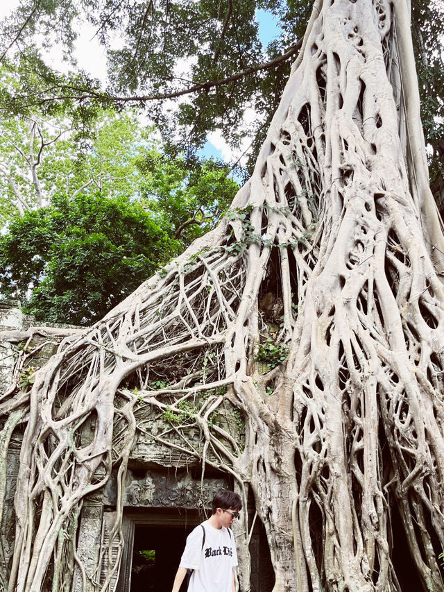 Ta Prohm Temple, Angkor 🇰🇭🌿 — The “Tomb Raider” Temple Adventure Ta Prohm Temple, Angkor 🇰🇭🌿 — The “Tomb Raider” Temple Adventure