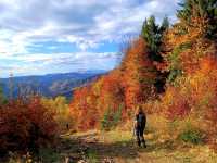 Piatra Craiului