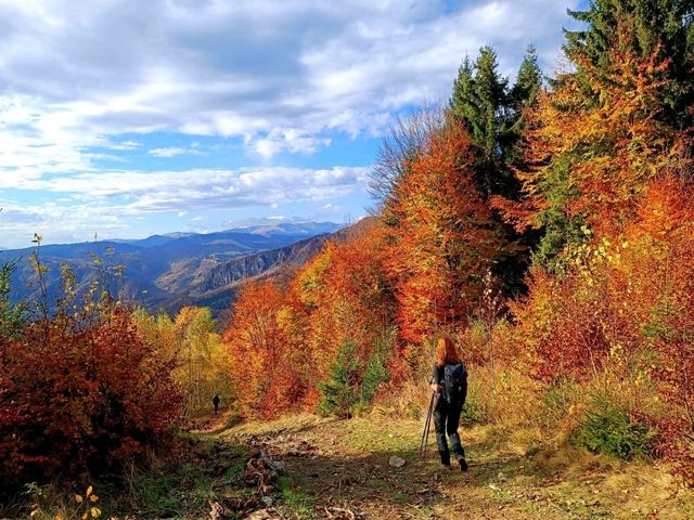 Piatra Craiului