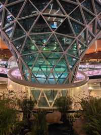 A Forest Between Flights: My Walk Through the Orchard at Hamad Airport