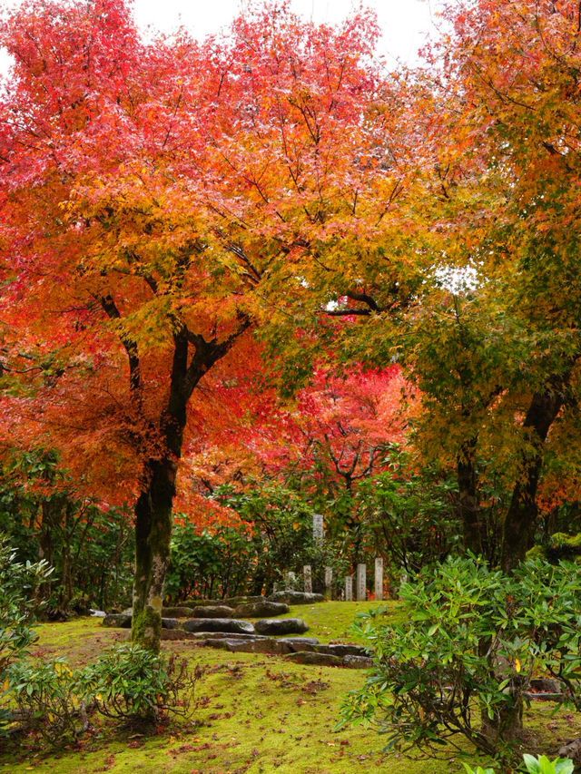 水車小屋の奥の紅葉のグラデーションが絶景