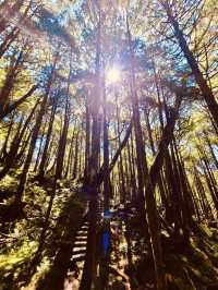 薄霧中的藍寶石——翠峰湖與望洋山漫步記