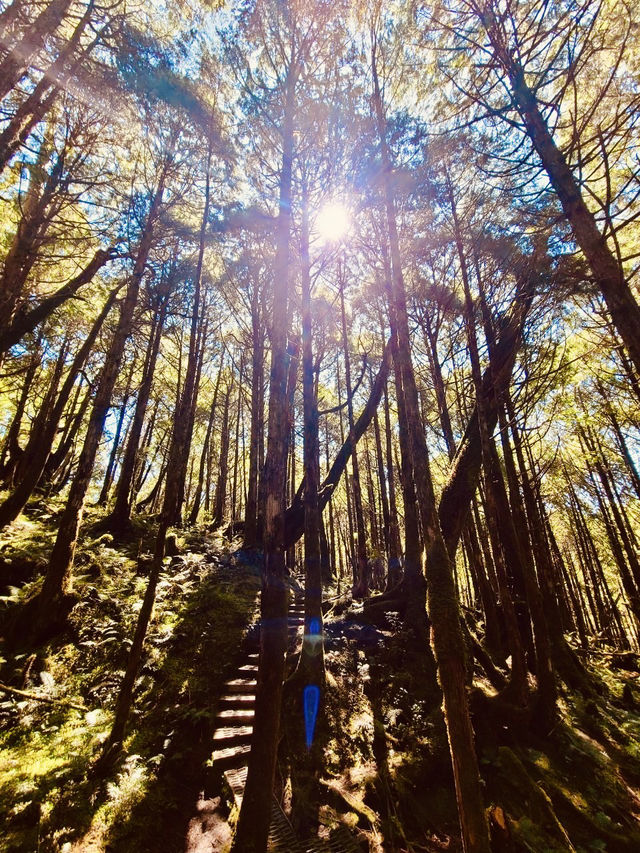 薄霧中的藍寶石——翠峰湖與望洋山漫步記