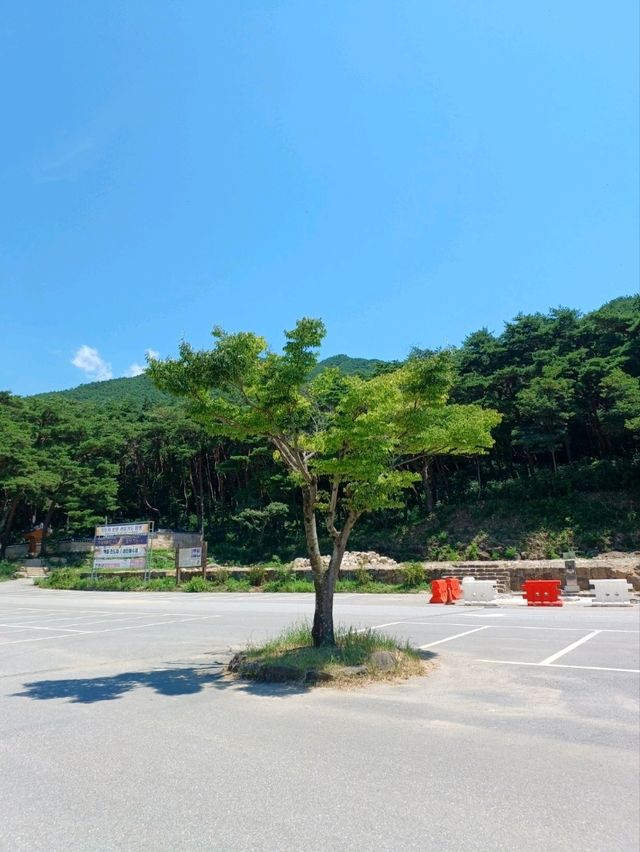 가을나들이에 좋은 사찰