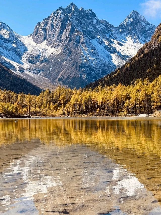 Autumn Peaks Magic🍁