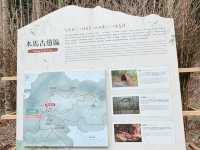 雲霧繚繞的雲林山中秘境-雲嶺之丘/五元兩角/木馬古道