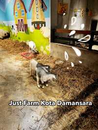 A Whimsical Farm Escape at Just Farm, Kota Damansara