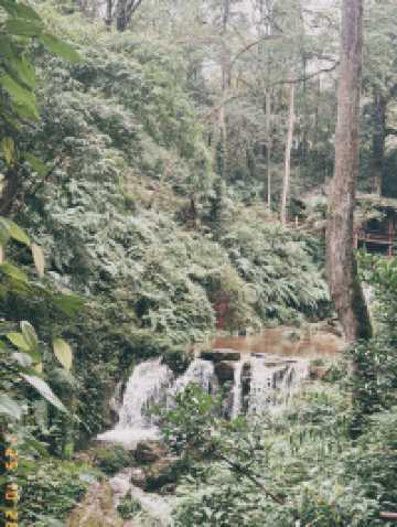 Ancient Beauty Awaits🏯