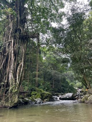 大自然的清新逃逸：Cascadas Marinka