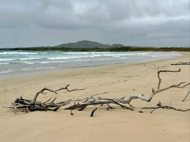 Isla Isabela Discover Untamed Beauty Isla Isabela Discover Untamed Beauty