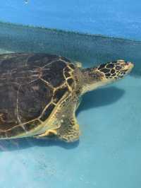 親子必去水族館人氣景點