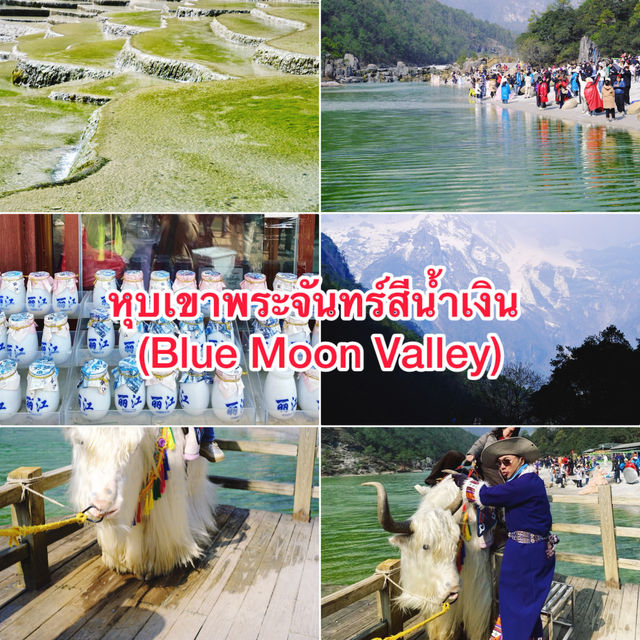 แจกพิกัด เที่ยวเมืองลี่เจียง มณฑลยูนนาน แจกพิกัด เที่ยวเมืองลี่เจียง มณฑลยูนนาน