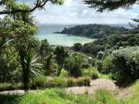 Where Every Corner Feels Like A Holiday