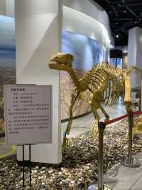 🌈 Shuimo Danxia — ภูเขาสีรุ้งกลาง Lanzhou