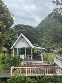 อุทยานแม่ตะไคร้ — สูดอากาศบริสุทธิ์พร้อมเพื่อนขนฟู