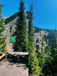 숲이 숨겨둔 신비로운 물결을 만난 하루