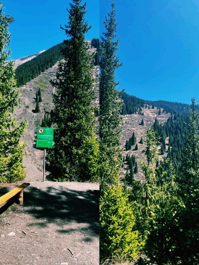 숲이 숨겨둔 신비로운 물결을 만난 하루 숲이 숨겨둔 신비로운 물결을 만난 하루