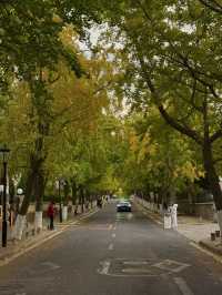 #지원제작 요즘 무비자로 핫한 여행지 중국! 다들 상하이 여행만 고민하고 계신가요? 