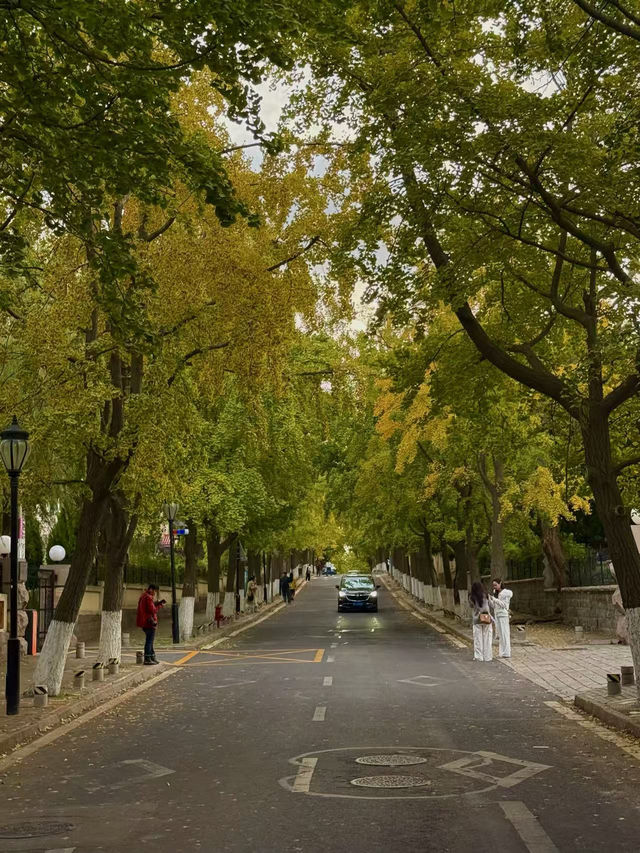 #지원제작 요즘 무비자로 핫한 여행지 중국! 다들 상하이 여행만 고민하고 계신가요? 