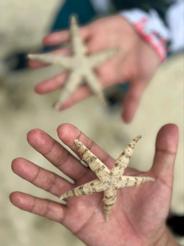 Semporna sea view 🏝