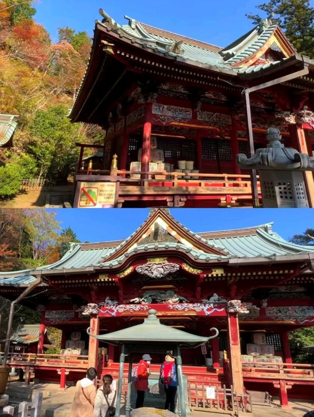 東京後花園｜高尾山｜闖入絕美紅葉油畫世界🍁