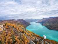 “Golden Forest of Kanas Lake”