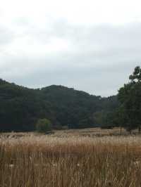 清州(チョンジュ)〜利川(イチョン)観光🇰🇷