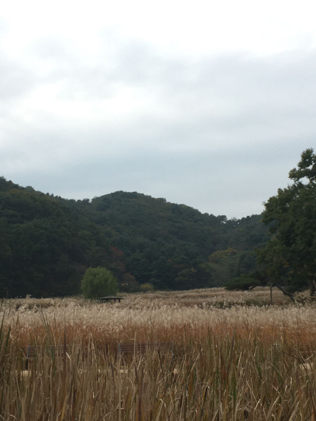 清州(チョンジュ)〜利川(イチョン)観光🇰🇷 清州(チョンジュ)〜利川(イチョン)観光🇰🇷