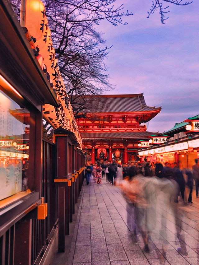 Sensoji Lights Up🌙