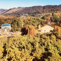 Historical Immersion on Presidential Trails