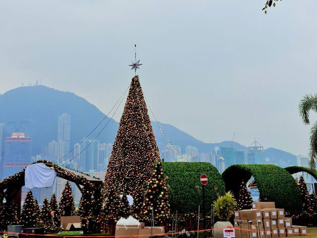 A Metropolitan Mirage: The Enchanted Glade of WestK Christmas Forest 2025 