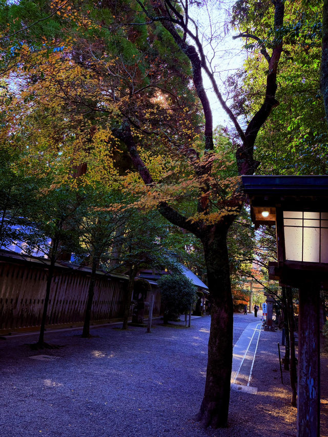 天岩戶神社 天岩戶神社