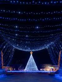 え？四国最大級のイルミネーションがたったの450円？！！まんのう公園のイルミネーション2025